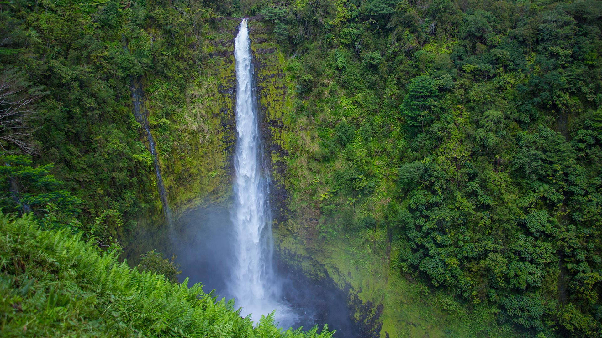 The 442-foot Akaka Falls is Hawaii’s most famous waterfall