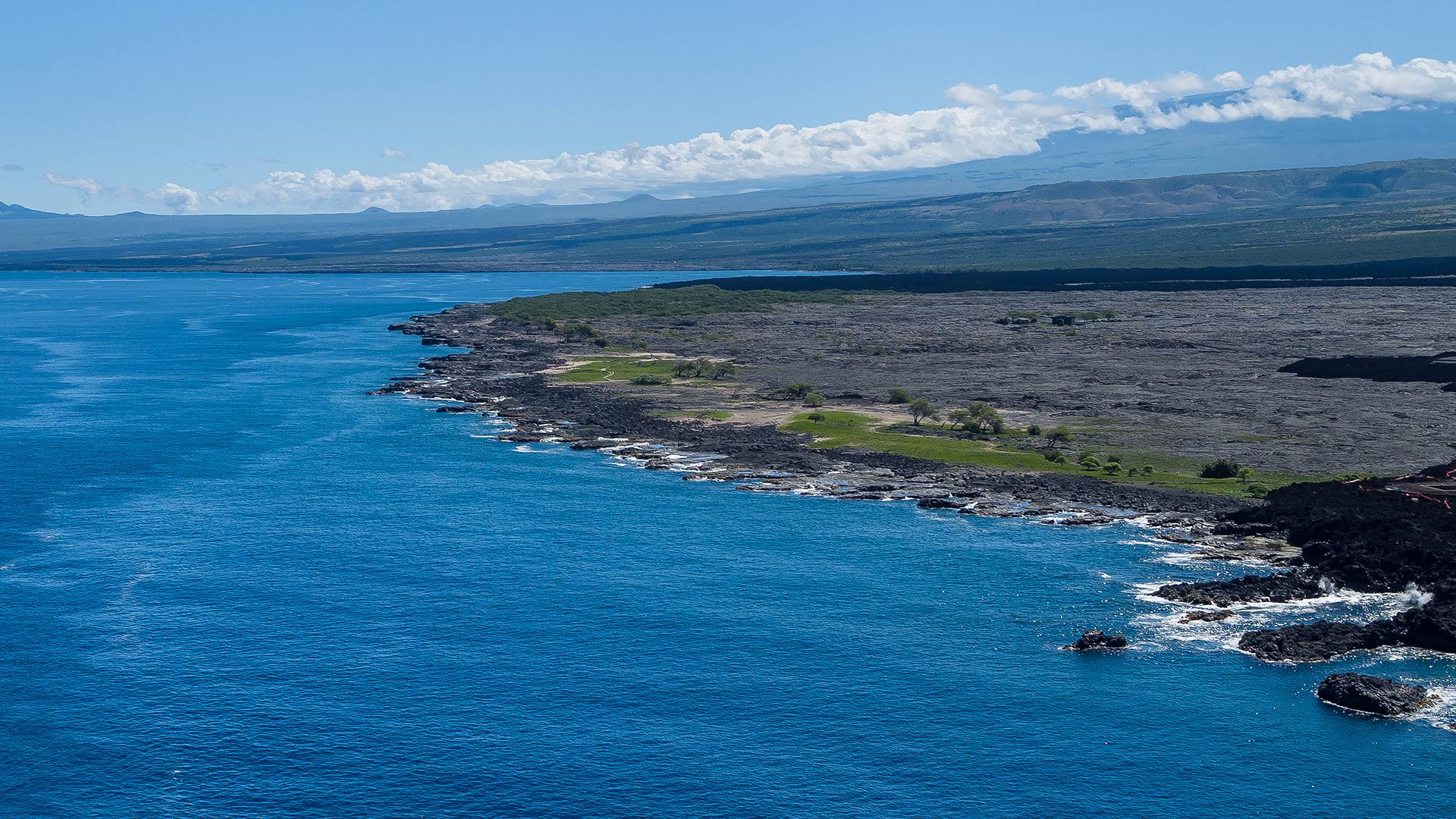 Lava fields on our rugged coastline
